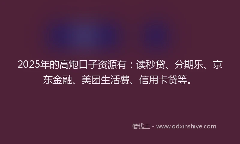 2025年的高炮口子资源有：读秒贷、分期乐、京东金融、美团生活费、信用卡贷等。