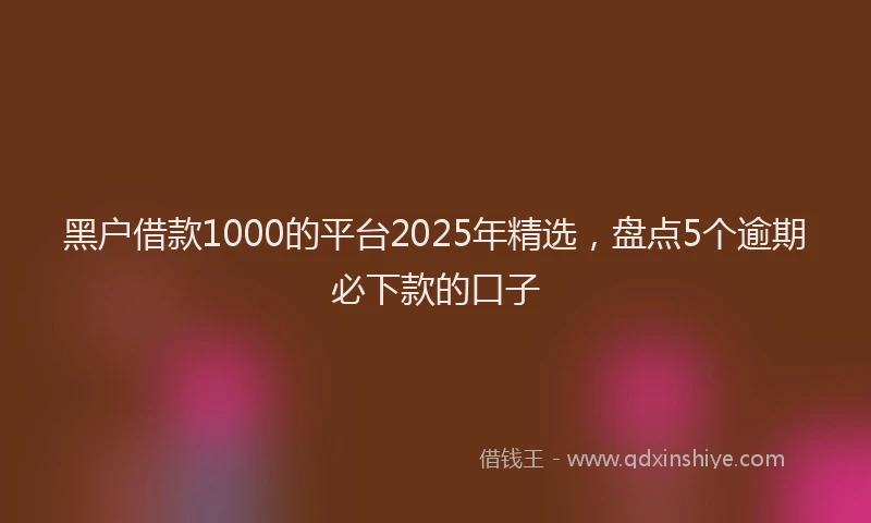 黑户借款1000的平台2025年精选，盘点5个逾期必下款的口子