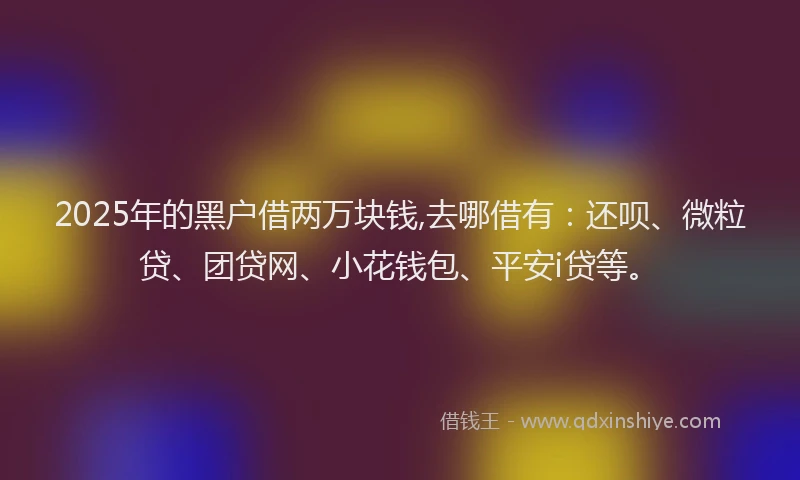 2025年的黑户借两万块钱,去哪借有：还呗、微粒贷、团贷网、小花钱包、平安i贷等。