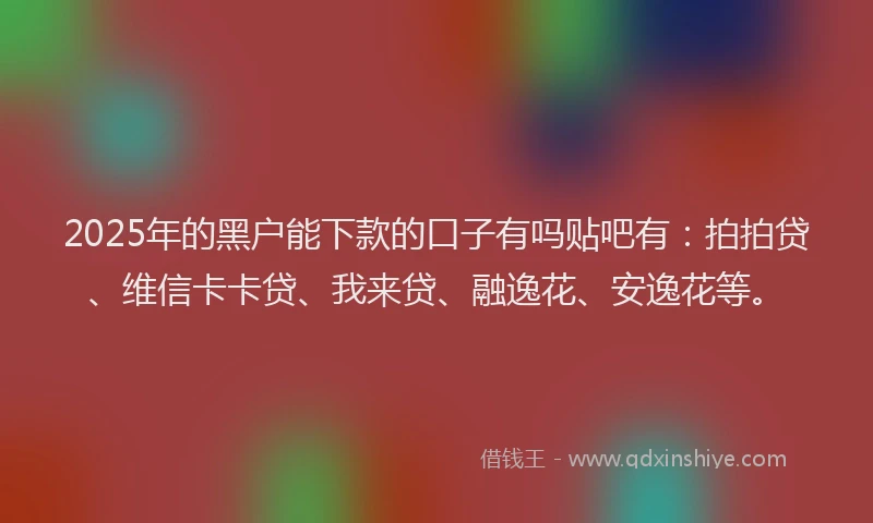 2025年的黑户能下款的口子有吗贴吧有：拍拍贷、维信卡卡贷、我来贷、融逸花、安逸花等。