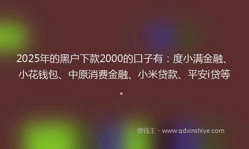 2025年的黑户下款2000的口子有：度小满金融、小花钱包、中原消费金融、小米贷款、平安i贷等。