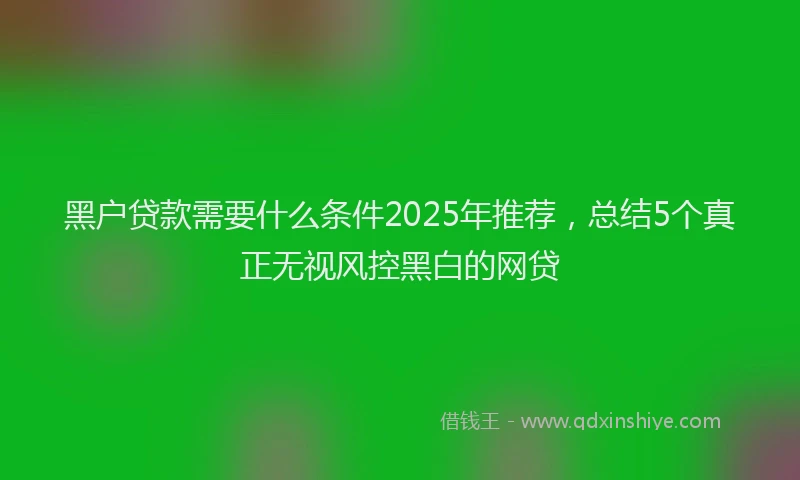 黑户贷款需要什么条件2025年推荐，总结5个真正无视风控黑白的网贷