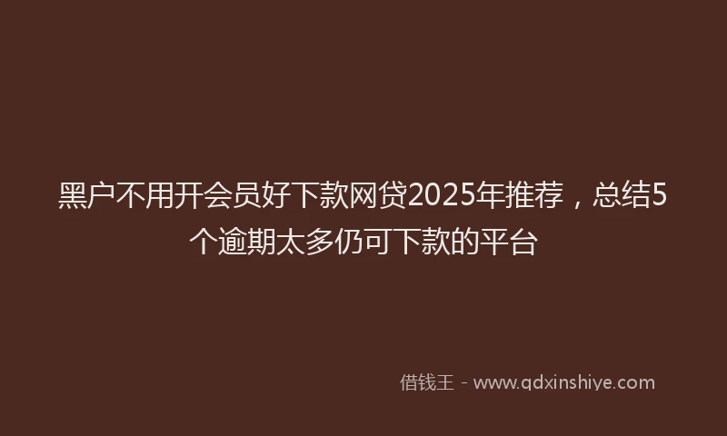 黑户不用开会员好下款网贷2025年推荐，总结5个逾期太多仍可下款的平台
