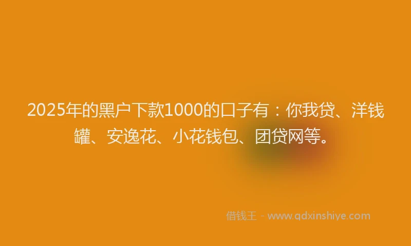 2025年的黑户下款1000的口子有：你我贷、洋钱罐、安逸花、小花钱包、团贷网等。