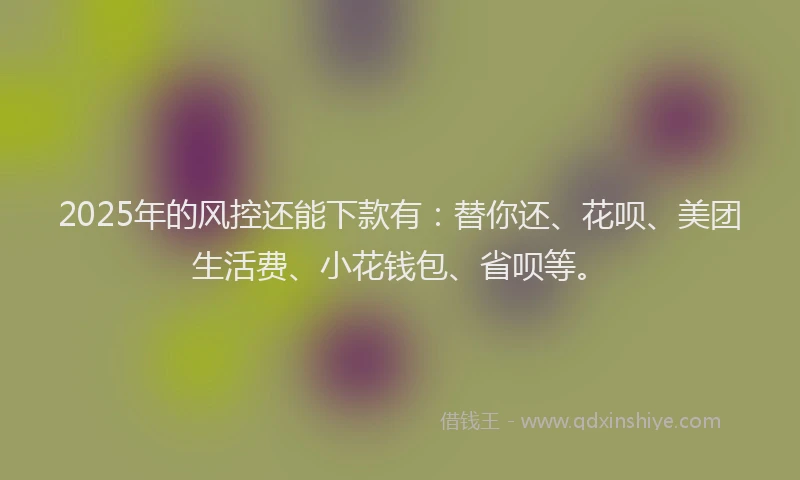 2025年的风控还能下款有：替你还、花呗、美团生活费、小花钱包、省呗等。