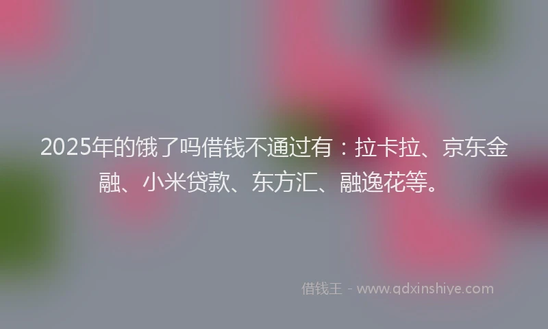 2025年的饿了吗借钱不通过有：拉卡拉、京东金融、小米贷款、东方汇、融逸花等。