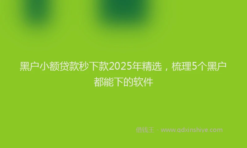 黑户小额贷款秒下款2025年精选，梳理5个黑户都能下的软件