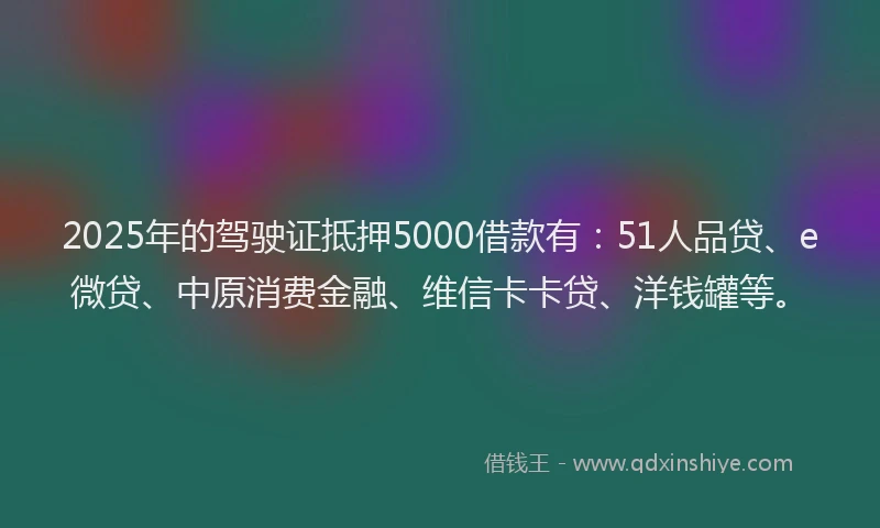 2025年的驾驶证抵押5000借款有:51人品贷、e微贷、中原消费金融、维信卡卡贷、洋钱罐等。