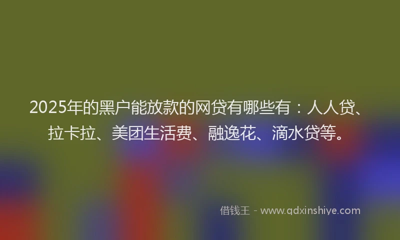 2025年的黑户能放款的网贷有哪些有:人人贷、拉卡拉、美团生活费、融逸花、滴水贷等。