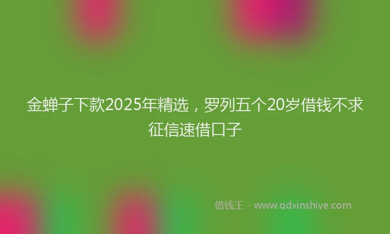 金蝉子下款2025年精选，罗列五个20岁借钱不求征信速借口子