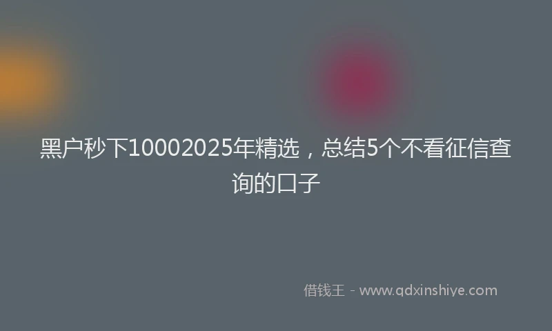黑户秒下10002025年精选，总结5个不看征信查询的口子