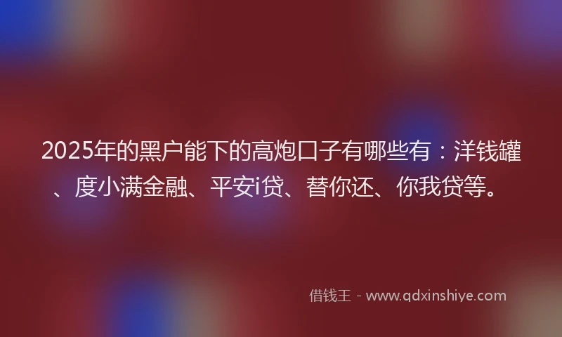 2025年的黑户能下的高炮口子有哪些有：洋钱罐、度小满金融、平安i贷、替你还、你我贷等。
