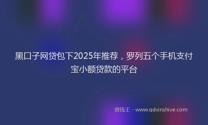 黑口子网贷包下2025年推荐，罗列五个手机支付宝小额贷款的平台