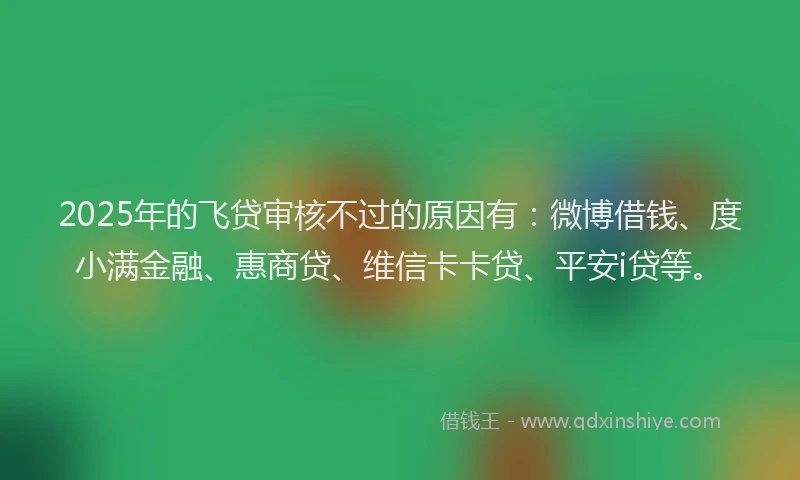 2025年的飞贷审核不过的原因有：微博借钱、度小满金融、惠商贷、维信卡卡贷、平安i贷等。