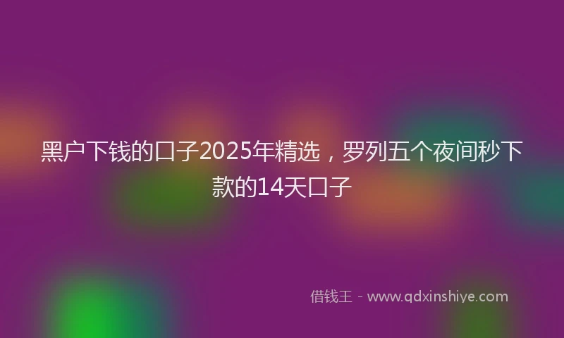 黑户下钱的口子2025年精选，罗列五个夜间秒下款的14天口子
