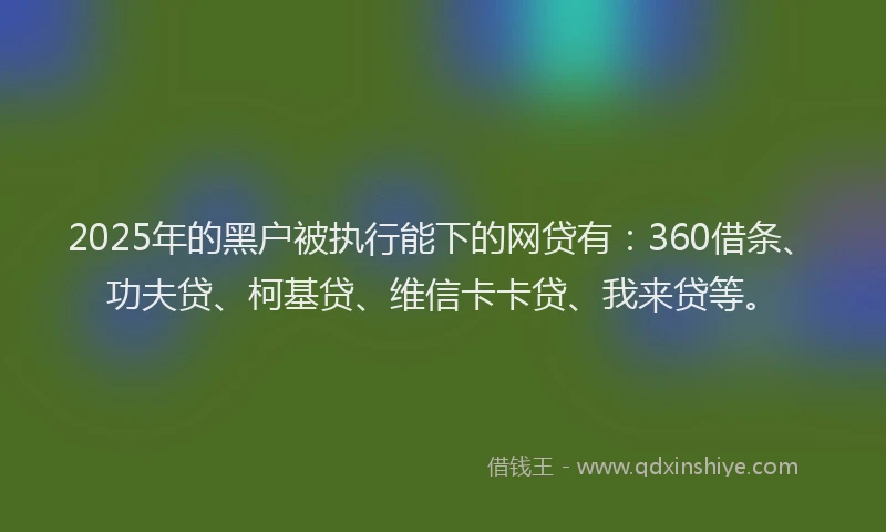 2025年的黑户被执行能下的网贷有：360借条、功夫贷、柯基贷、维信卡卡贷、我来贷等。