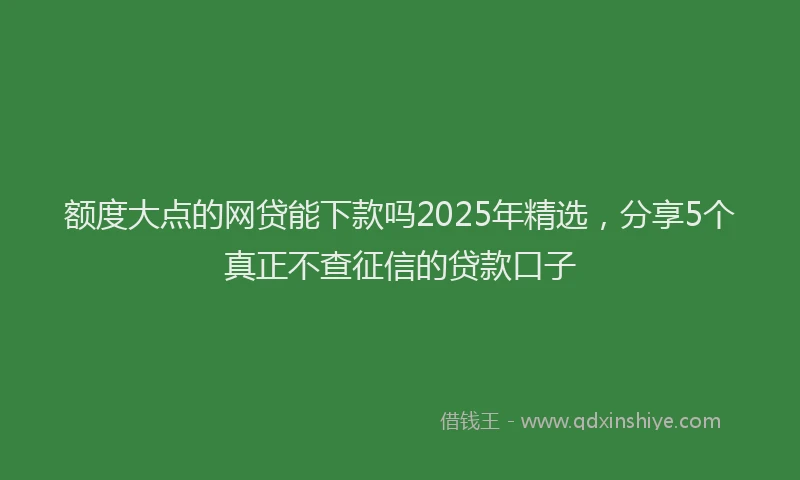 额度大点的网贷能下款吗2025年精选，分享5个真正不查征信的贷款口子