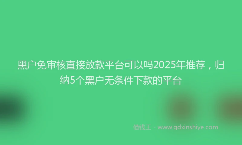 黑户免审核直接放款平台可以吗2025年推荐，归纳5个黑户无条件下款的平台