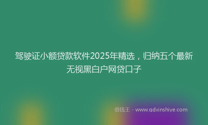 驾驶证小额贷款软件2025年精选,归纳五个最新无视黑白户网贷口子
