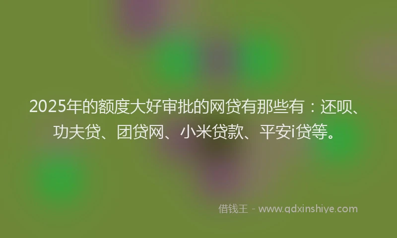 2025年的额度大好审批的网贷有那些有：还呗、功夫贷、团贷网、小米贷款、平安i贷等。