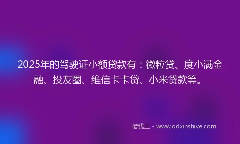2025年的驾驶证小额贷款有：微粒贷、度小满金融、投友圈、维信卡卡贷、小米贷款等。