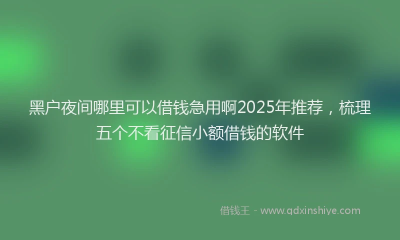 黑户夜间哪里可以借钱急用啊2025年推荐，梳理五个不看征信小额借钱的软件