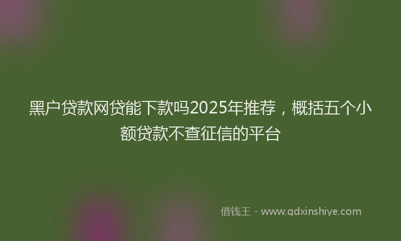 黑户贷款网贷能下款吗2025年推荐，概括五个小额贷款不查征信的平台