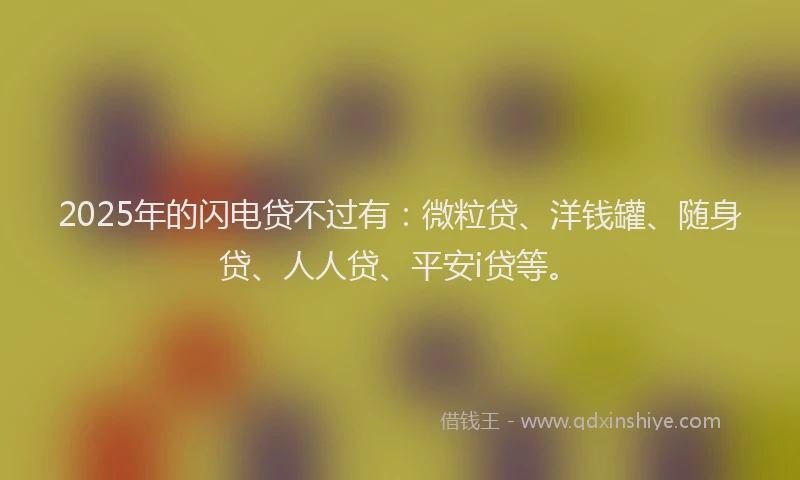 2025年的闪电贷不过有：微粒贷、洋钱罐、随身贷、人人贷、平安i贷等。