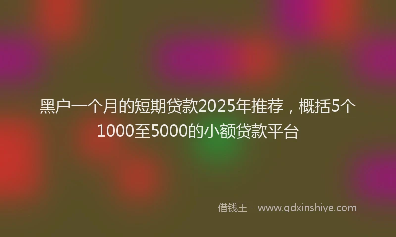 黑户一个月的短期贷款2025年推荐，概括5个1000至5000的小额贷款平台