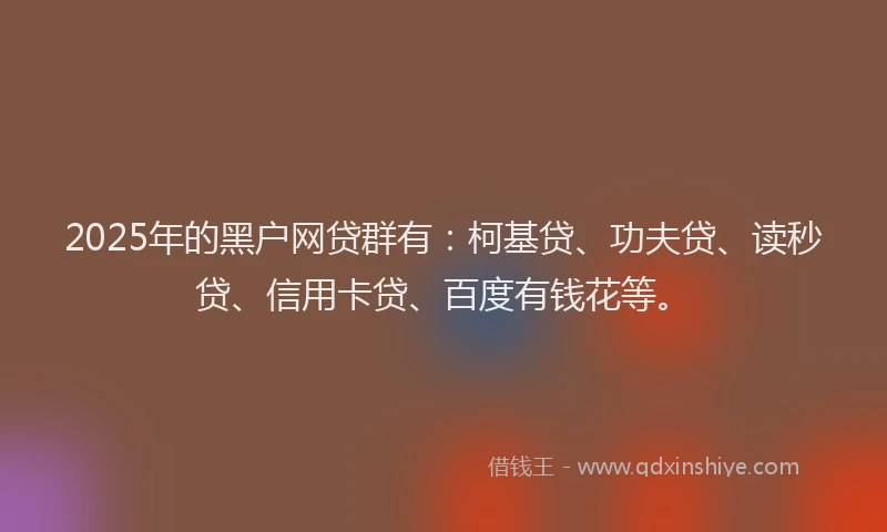 2025年的黑户网贷群有：柯基贷、功夫贷、读秒贷、信用卡贷、百度有钱花等。