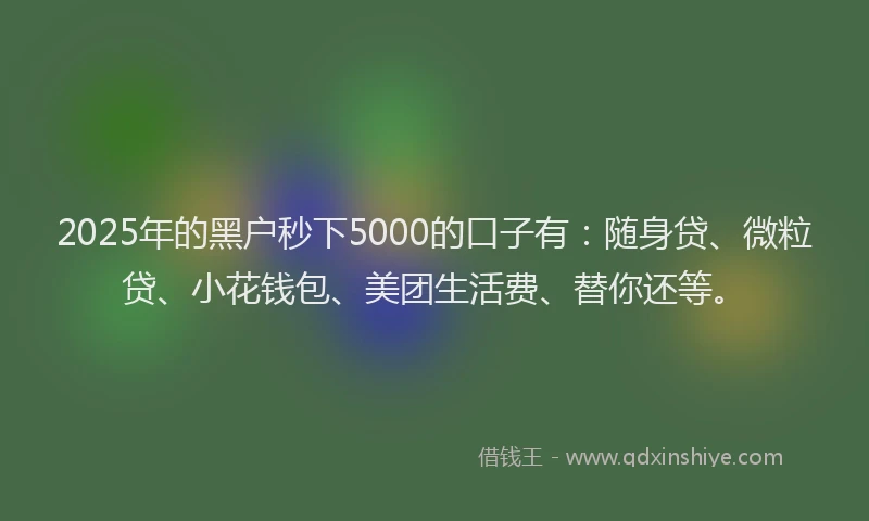 2025年的黑户秒下5000的口子有：随身贷、微粒贷、小花钱包、美团生活费、替你还等。