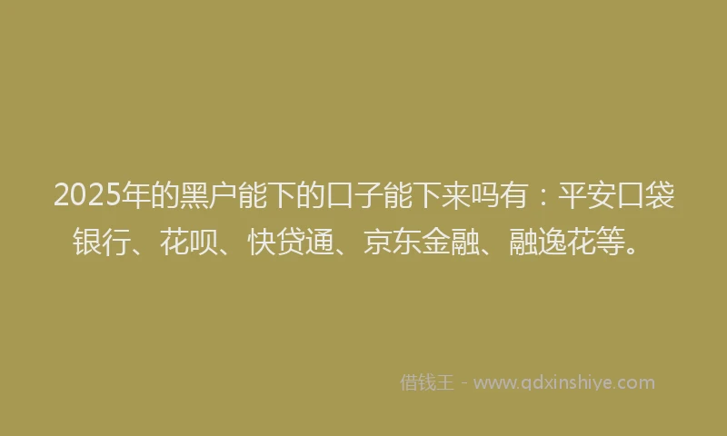 2025年的黑户能下的口子能下来吗有：平安口袋银行、花呗、快贷通、京东金融、融逸花等。