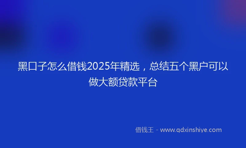 黑口子怎么借钱2025年精选，总结五个黑户可以做大额贷款平台