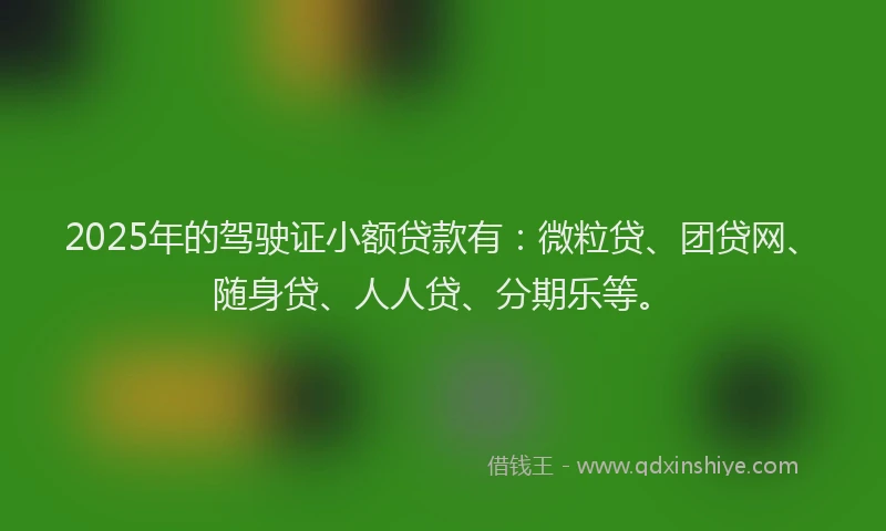 2025年的驾驶证小额贷款有：微粒贷、团贷网、随身贷、人人贷、分期乐等。