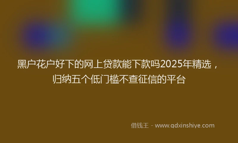 黑户花户好下的网上贷款能下款吗2025年精选，归纳五个低门槛不查征信的平台