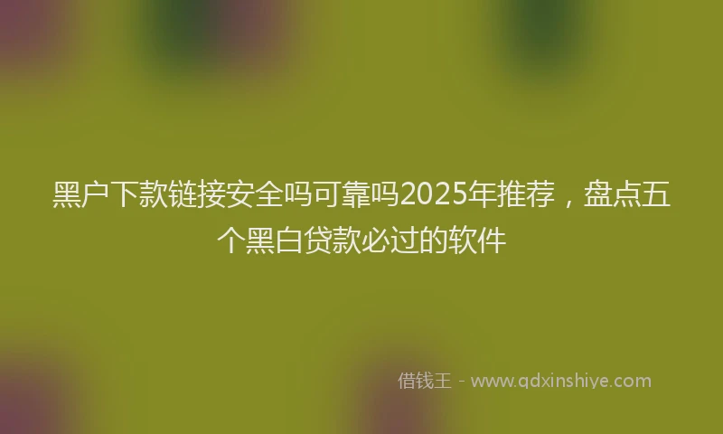 黑户下款链接安全吗可靠吗2025年推荐，盘点五个黑白贷款必过的软件