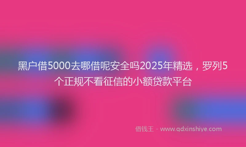 黑户借5000去哪借呢安全吗2025年精选，罗列5个正规不看征信的小额贷款平台