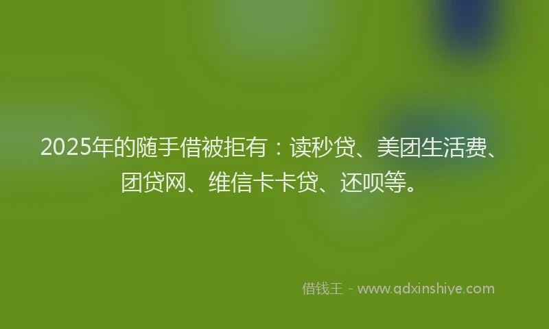 2025年的随手借被拒有：读秒贷、美团生活费、团贷网、维信卡卡贷、还呗等。