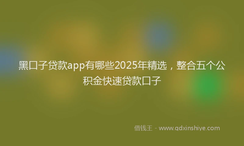 黑口子贷款app有哪些2025年精选，整合五个公积金快速贷款口子