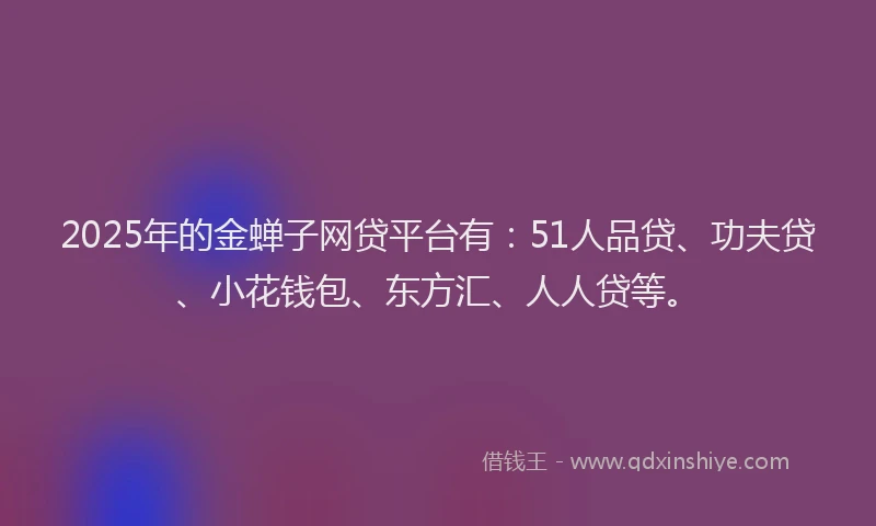 2025年的金蝉子网贷平台有：51人品贷、功夫贷、小花钱包、东方汇、人人贷等。