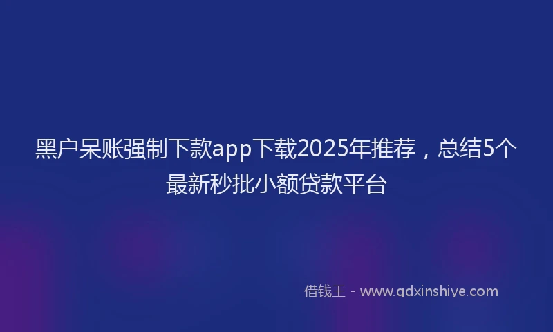 黑户呆账强制下款app下载2025年推荐，总结5个最新秒批小额贷款平台