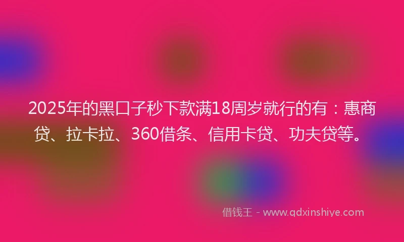 2025年的黑口子秒下款满18周岁就行的有：惠商贷、拉卡拉、360借条、信用卡贷、功夫贷等。