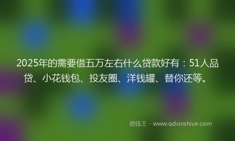 2025年的需要借五万左右什么贷款好有：51人品贷、小花钱包、投友圈、洋钱罐、替你还等。