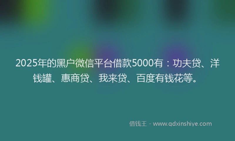 2025年的黑户微信平台借款5000有：功夫贷、洋钱罐、惠商贷、我来贷、百度有钱花等。