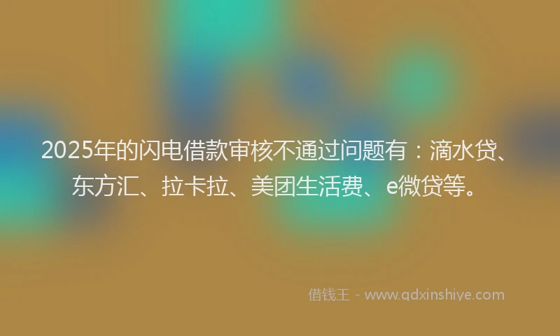 2025年的闪电借款审核不通过问题有：滴水贷、东方汇、拉卡拉、美团生活费、e微贷等。