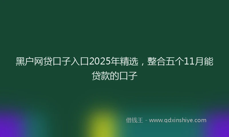 黑户网贷口子入口2025年精选，整合五个11月能贷款的口子