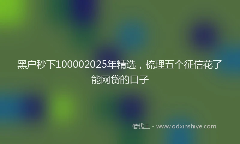 黑户秒下100002025年精选，梳理五个征信花了能网贷的口子
