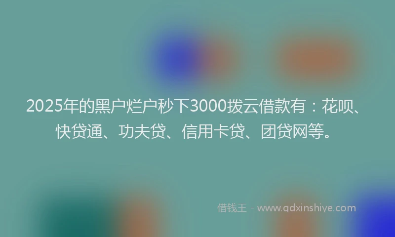 2025年的黑户烂户秒下3000拨云借款有：花呗、快贷通、功夫贷、信用卡贷、团贷网等。