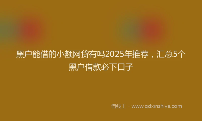 黑户能借的小额网贷有吗2025年推荐，汇总5个黑户借款必下口子