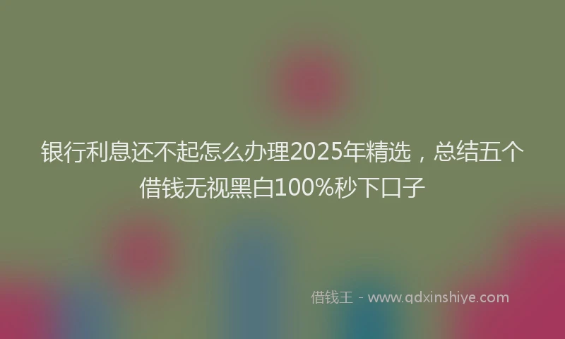 银行利息还不起怎么办理2025年精选，总结五个借钱无视黑白100%秒下口子
